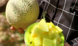 娱乐圈什么真瓜可以吃,那些你绝对不能错过的真实瓜料！